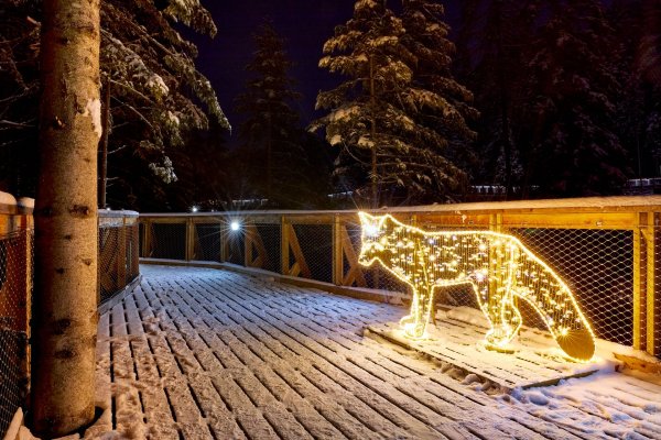 Gorczańska Kraina Świateł - Centrum Przyrodniczo-Edukacyjne Brama w Gorce