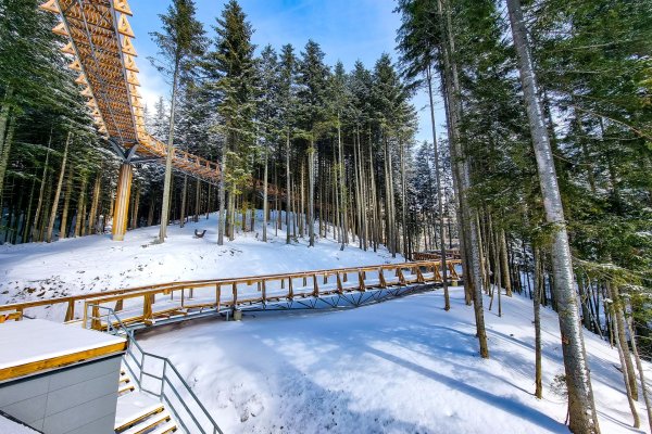 Centrum Przyrodniczo-Edukacyjne Brama w Gorce - Centrum Przyrodniczo-Edukacyjne Brama w Gorce