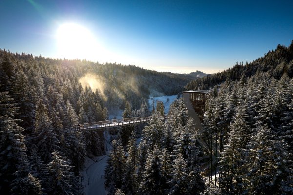 Centrum Przyrodniczo-Edukacyjne Brama w Gorce - Centrum Przyrodniczo-Edukacyjne Brama w Gorce