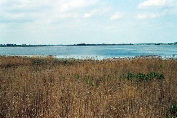 Rezerwat Przyrody Jezioro Łuknajno