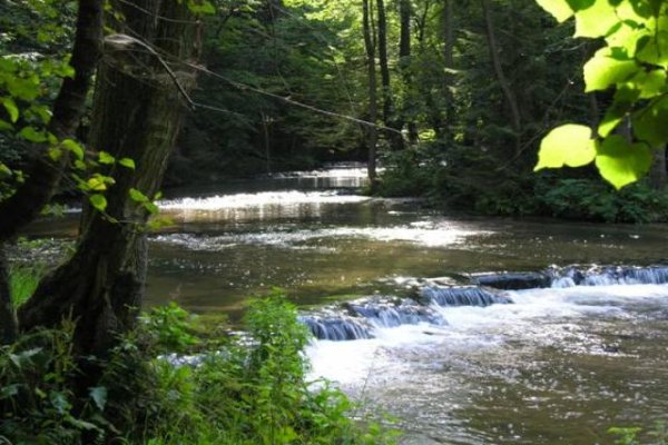 Rezerwat nad Tanwią