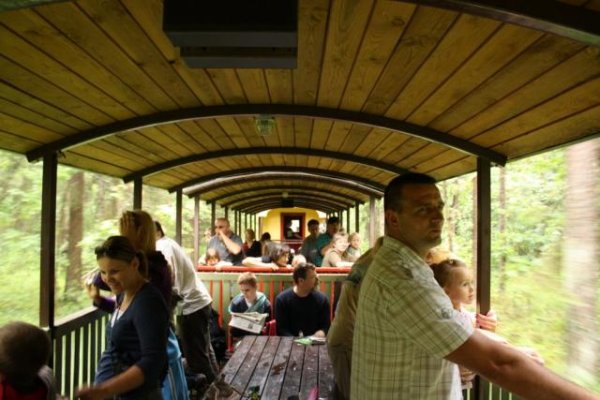 Kolejka wąskotorowa