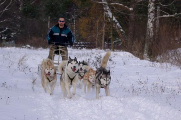 Ośrodek rekreacyjny "Czysta Frajda"