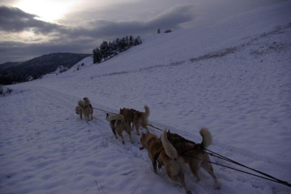 Ośrodek rekreacyjny "Czysta Frajda"