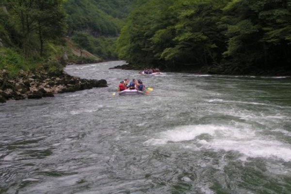 Ośrodek rekreacyjny "Czysta Frajda"