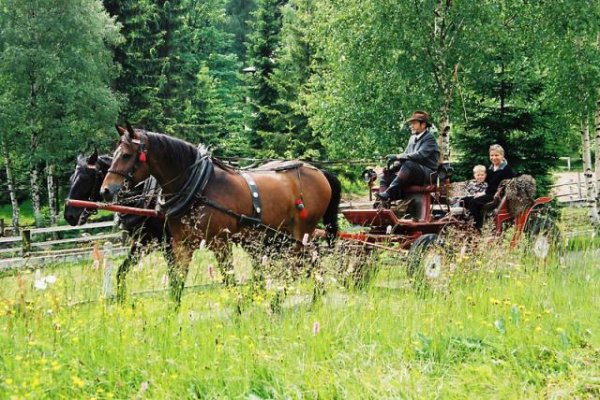  Osada Jeździecka "BATA"