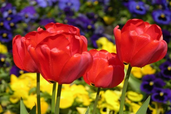 Uzdrowisko Busko-Zdrój