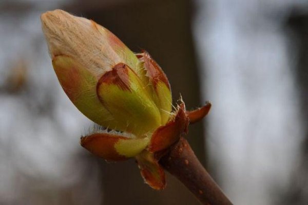 Uzdrowisko Busko-Zdrój