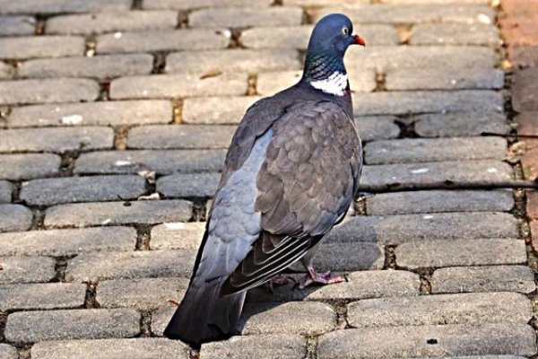 Uzdrowisko Busko-Zdrój