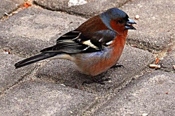 Uzdrowisko Busko-Zdrój