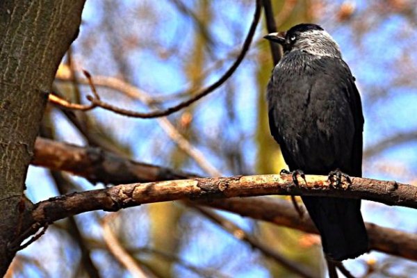 Uzdrowisko Busko-Zdrój