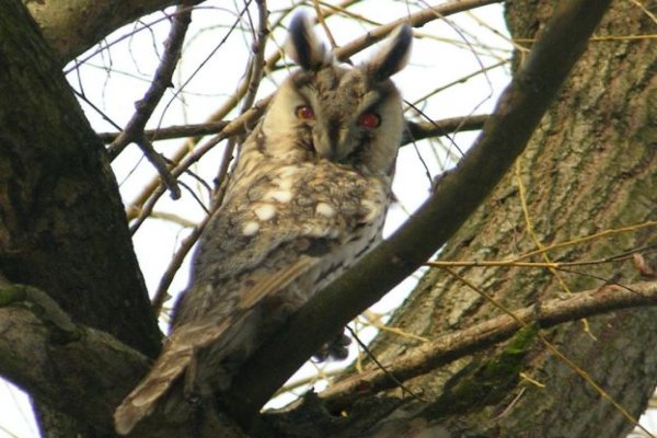 Uzdrowisko Busko-Zdrój