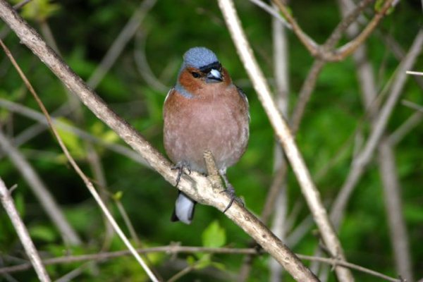 Uzdrowisko Busko-Zdrój