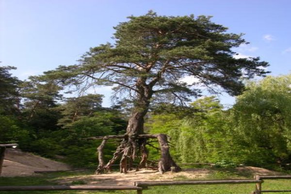 Uzdrowisko Busko-Zdrój