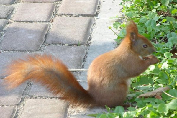 Uzdrowisko Busko-Zdrój