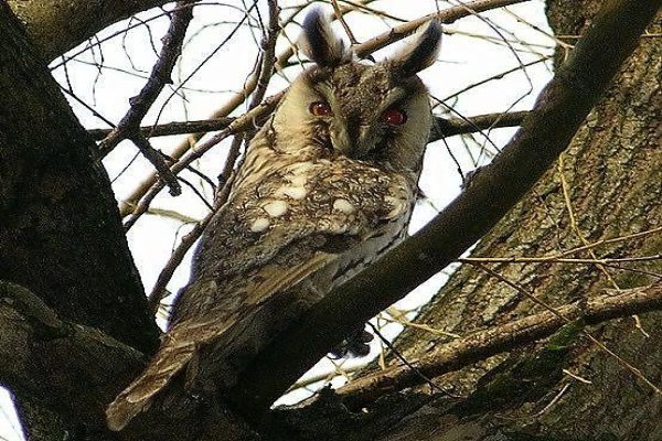 Uzdrowisko Busko-Zdrój