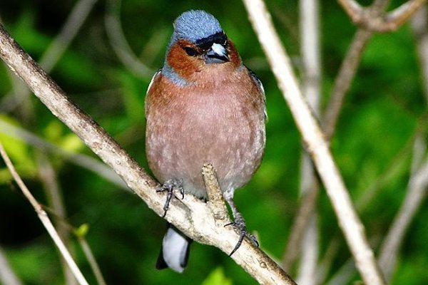 Uzdrowisko Busko-Zdrój