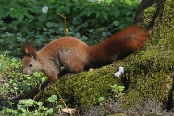 Uzdrowisko Busko-Zdrój