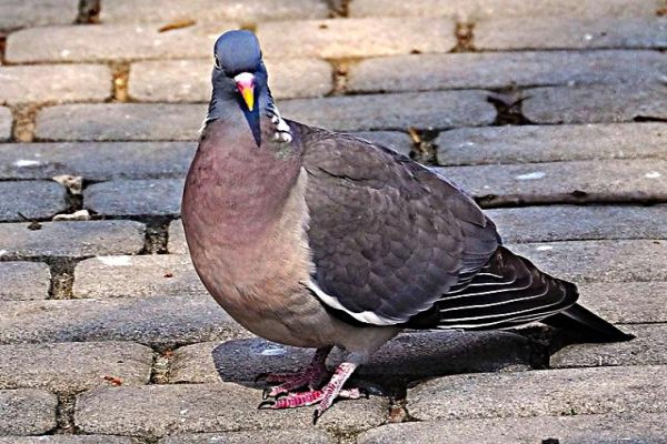 Uzdrowisko Busko-Zdrój