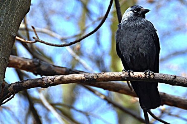 Uzdrowisko Busko-Zdrój