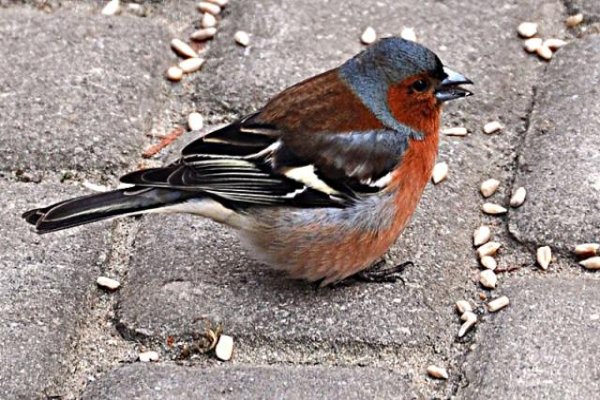 Uzdrowisko Busko-Zdrój