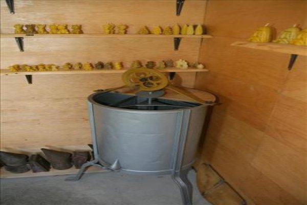 Skansen pszczelarski