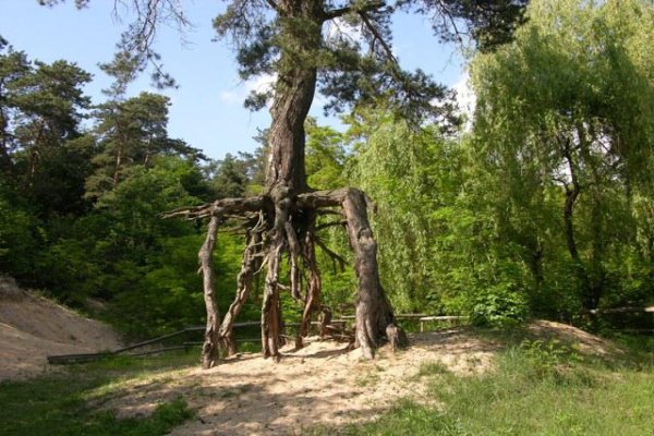 Uzdrowisko Busko-Zdrój