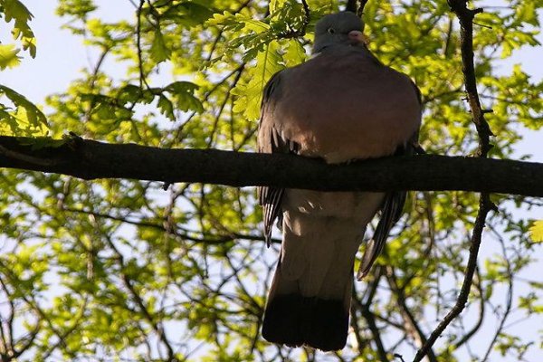 Uzdrowisko Busko-Zdrój