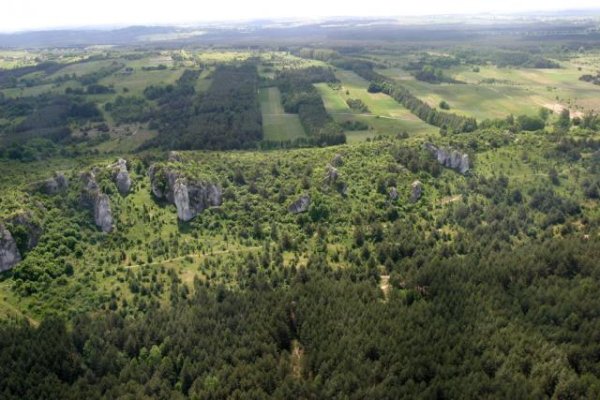 Grzęda Mirowsko-Bobolicka