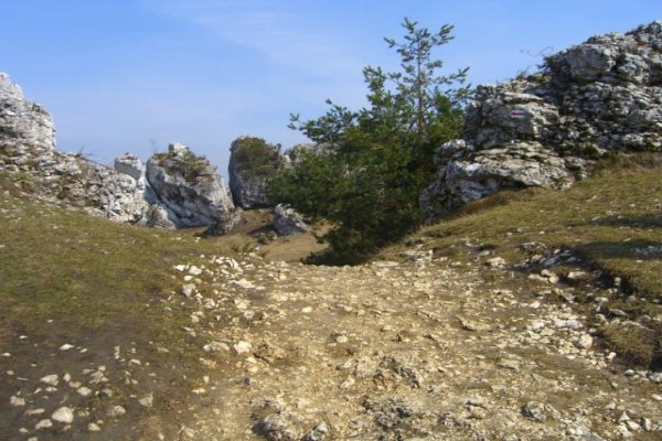 Grzęda Mirowsko-Bobolicka