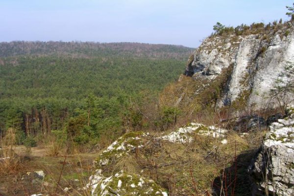 Grzęda Mirowsko-Bobolicka