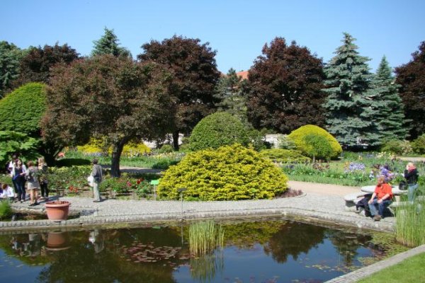 Ogród Botaniczny we Wrocławiu