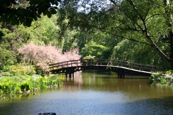 Ogród Botaniczny we Wrocławiu