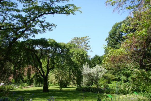 Ogród Botaniczny we Wrocławiu