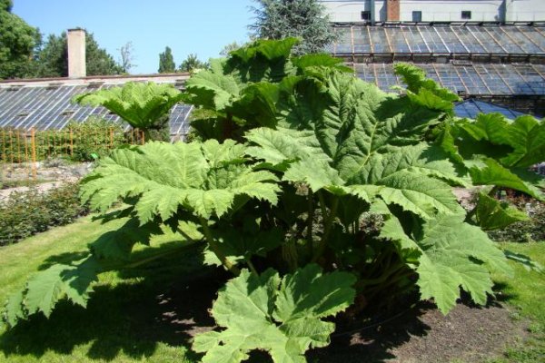 Ogród Botaniczny we Wrocławiu
