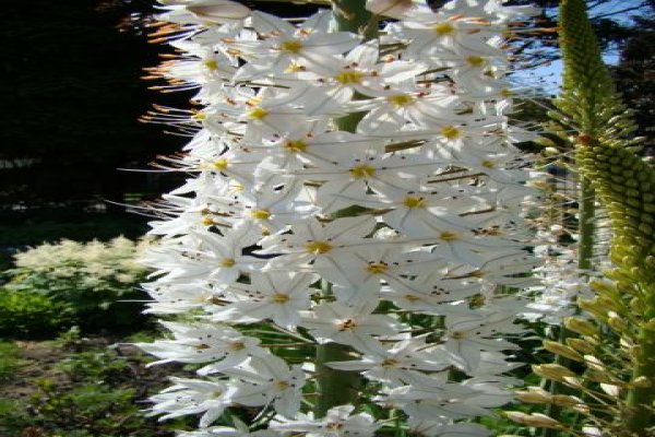 Ogród Botaniczny we Wrocławiu