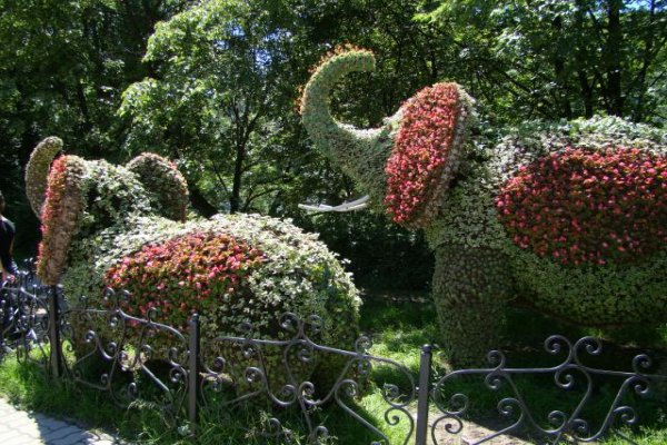 Pijalnia wód mineralnych