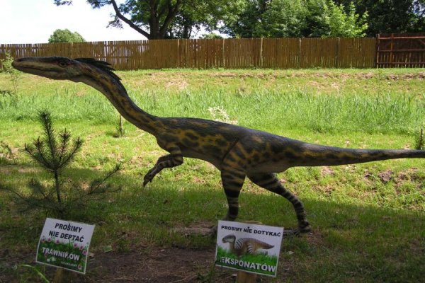 Zaurolandia - Park Dinozaurów