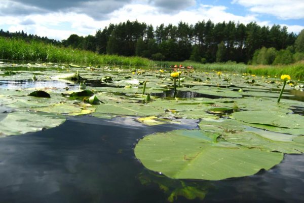 Spływ rzeką Krutynia