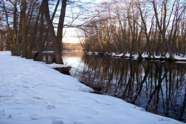Rezerwat  Niebieskie Źródła