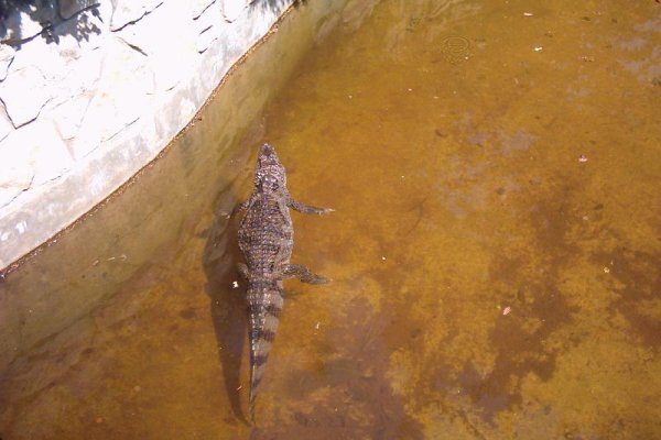 Miejski Ogród Zoologiczny