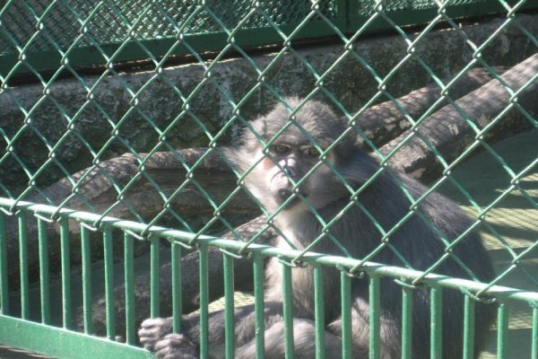 Miejski Ogród Zoologiczny