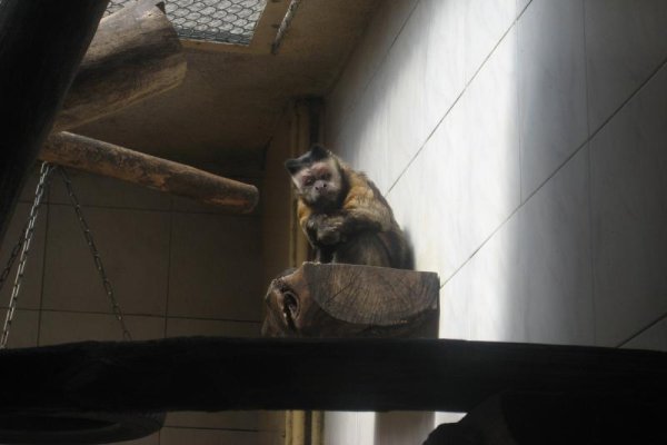 Miejski Ogród Zoologiczny