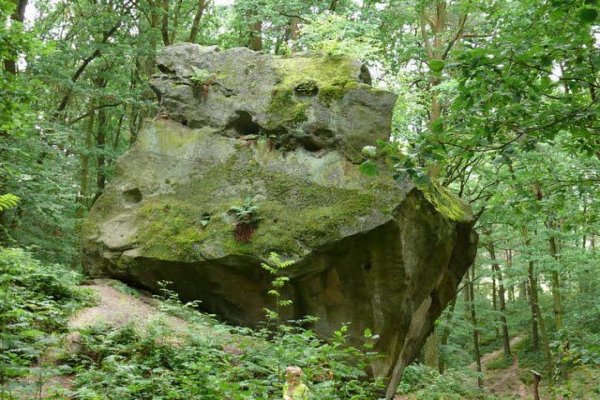 Rezerwat przyrody Skamieniałe Miasto