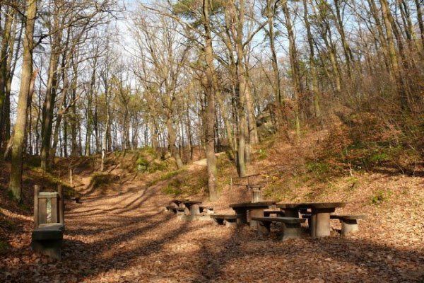 Rezerwat przyrody Skamieniałe Miasto