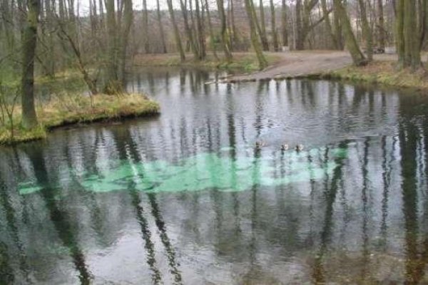 Rezerwat  Niebieskie Źródła