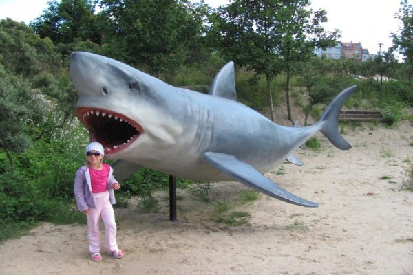 Ocean Park