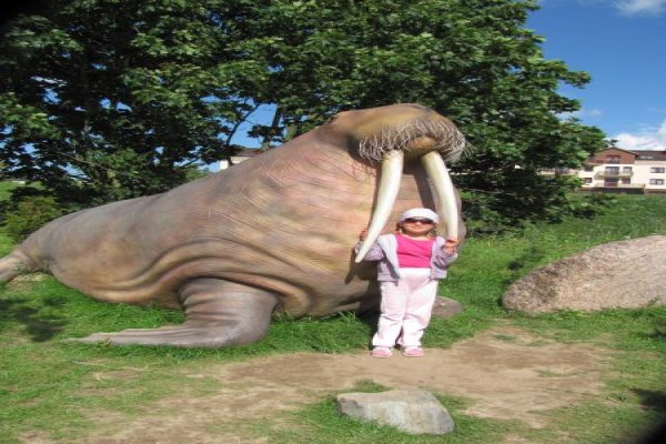 Ocean Park