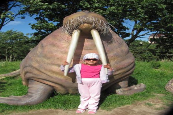 Ocean Park