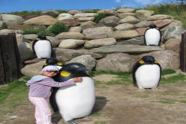 Ocean Park